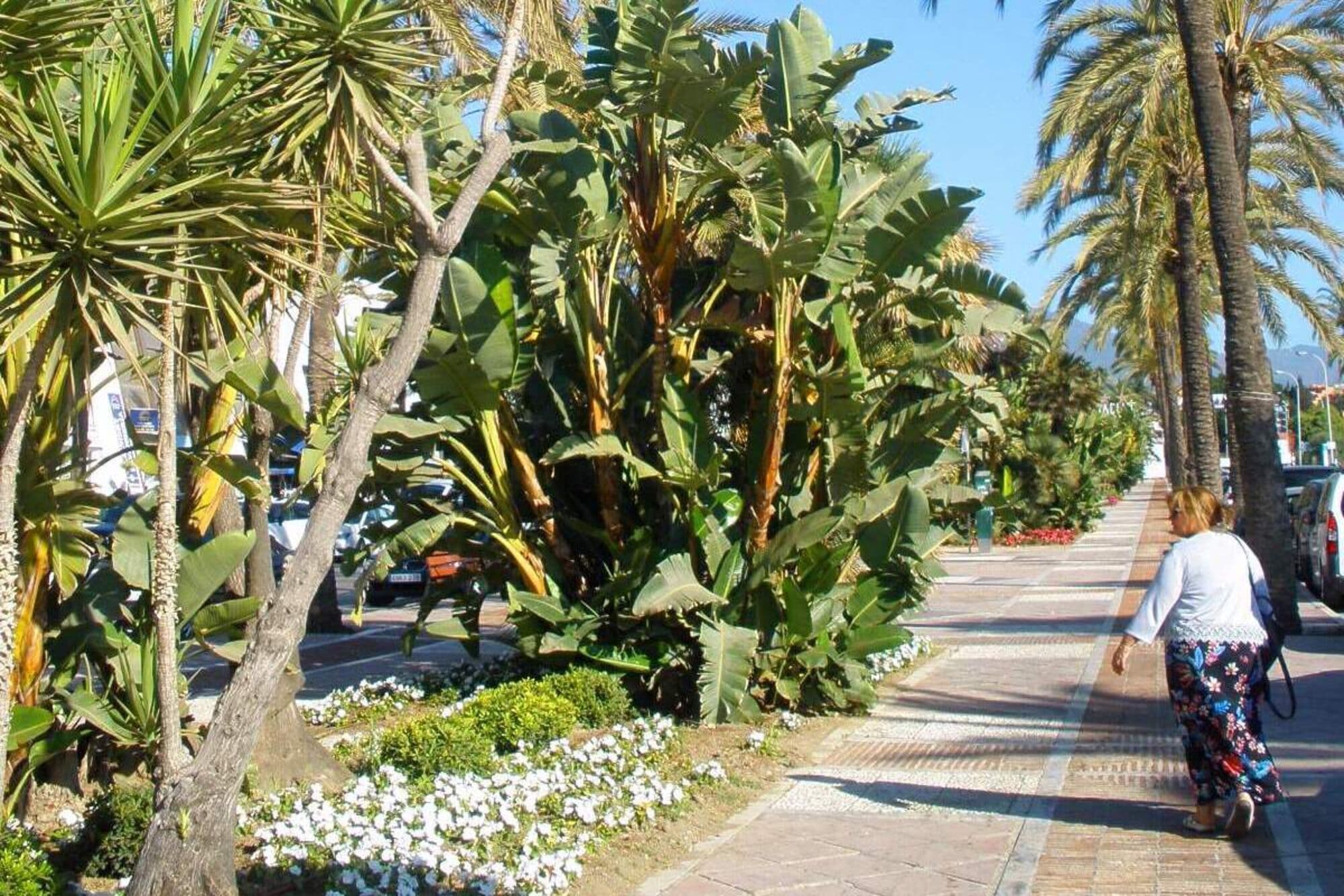 La Campana